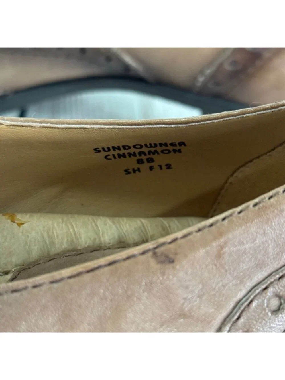 Earth Tassel Loafer Heels Stacked Block Heel Brogue Detail Sundowner Cinnamon 8B